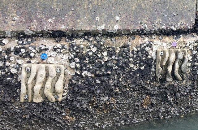 The original artificial ecological module installed at the Seawall in Lok On Pai